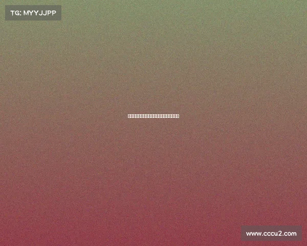 国际足联俱乐部世界杯美洲队与当地企业合作