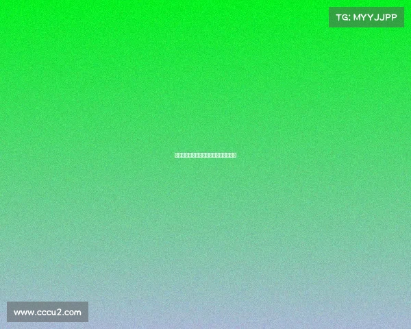 湖人队接连打出完美表现，成绩稳步提升